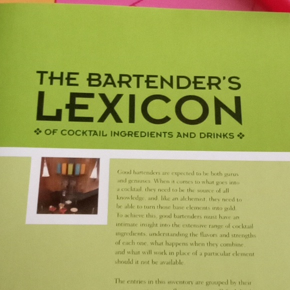 The Bartender's Guide- Paragon Books Ltd. 2008 - Picture 7 of 17